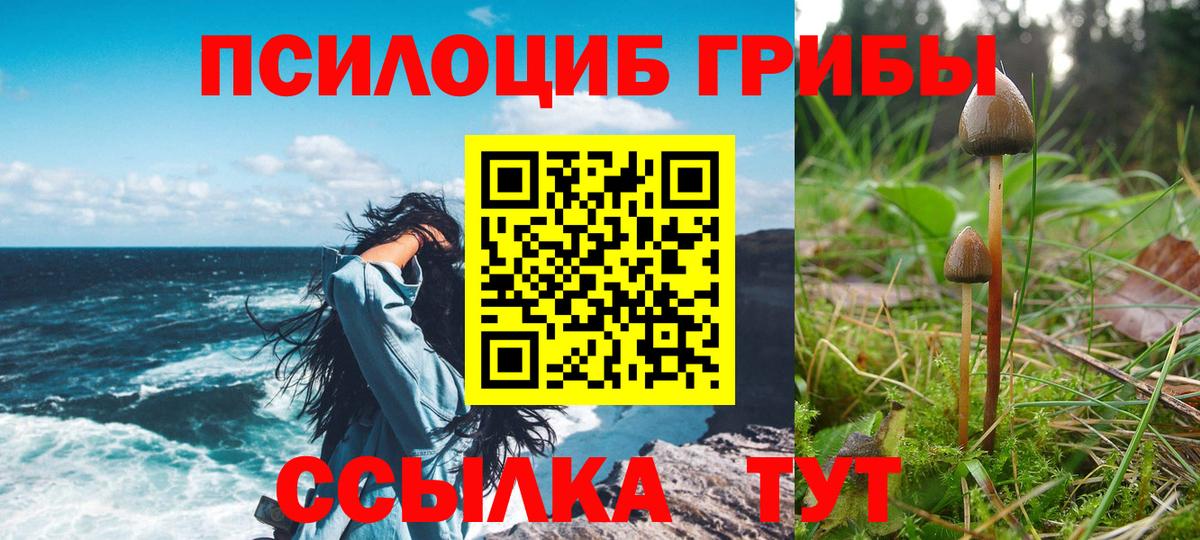 Псилоцибиновые грибы прущие грибы  Псилоцибиновые грибы GOLDEN TEACHER  Вход с VPN  наркошоп  Волгоград 